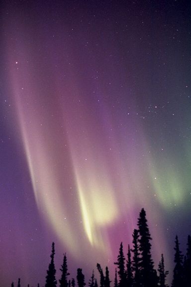 Northern Lights Fairbanks Alaska Perseus