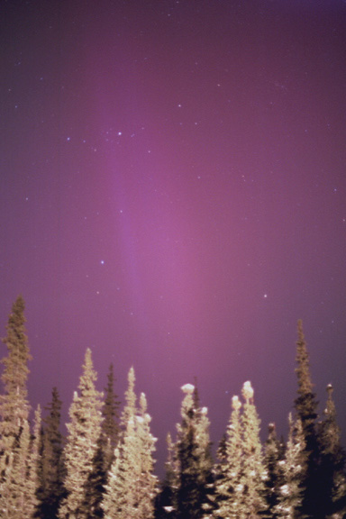 Aurora and Perseus #17 Alaska 2001