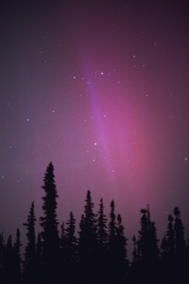 Aurora Borealis Alaska 2001 Perseus