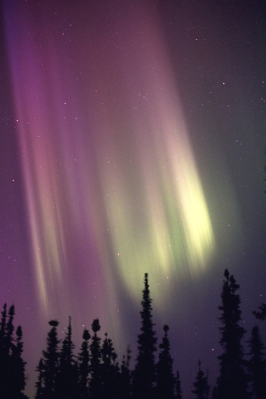 Northern Lights Fairbanks Alaska 2001
