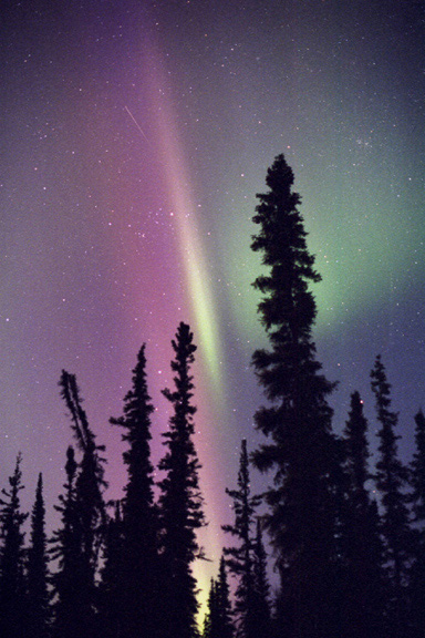 Northern Lights Fairbanks Alaska Meteor