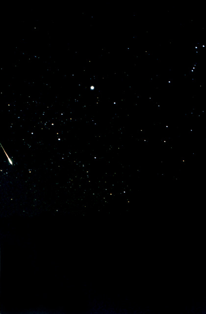 Leonid Meteor Storm Sirius Orion 