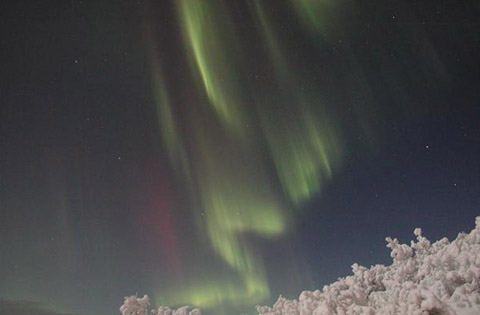 Northern Lights Alaska Fairbanks Aurora