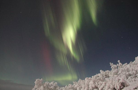 Northern Lights Alaska Aurora Fairbanks