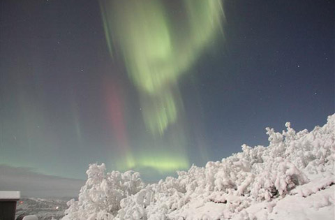 Northern Lights Alaska Aurora Snow