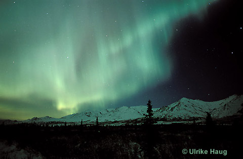Aurora Borealis Alaska Denali Alaska