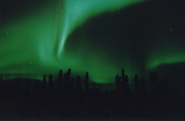 Northern Lights Alaska Boreal Forest