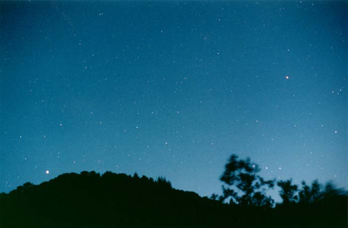 Sirius Orion Night Sky California